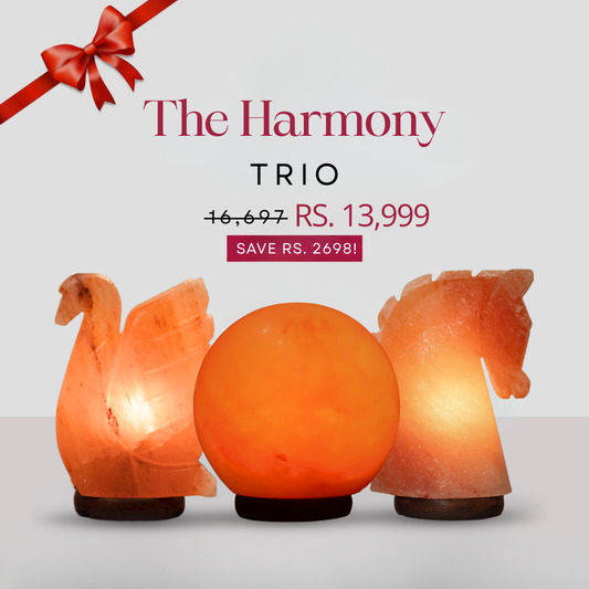 The Harmony Trio (Mustang + Globe + Serene Swan)