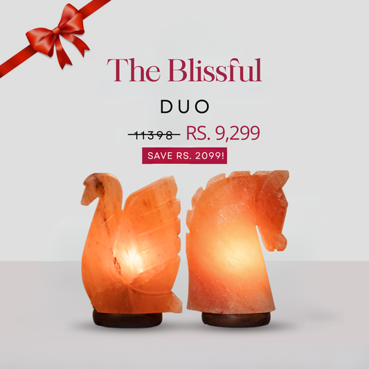 The Blissful Duo (Serene Swan + Mustang)