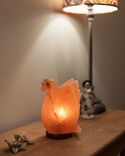 The Serene Swan