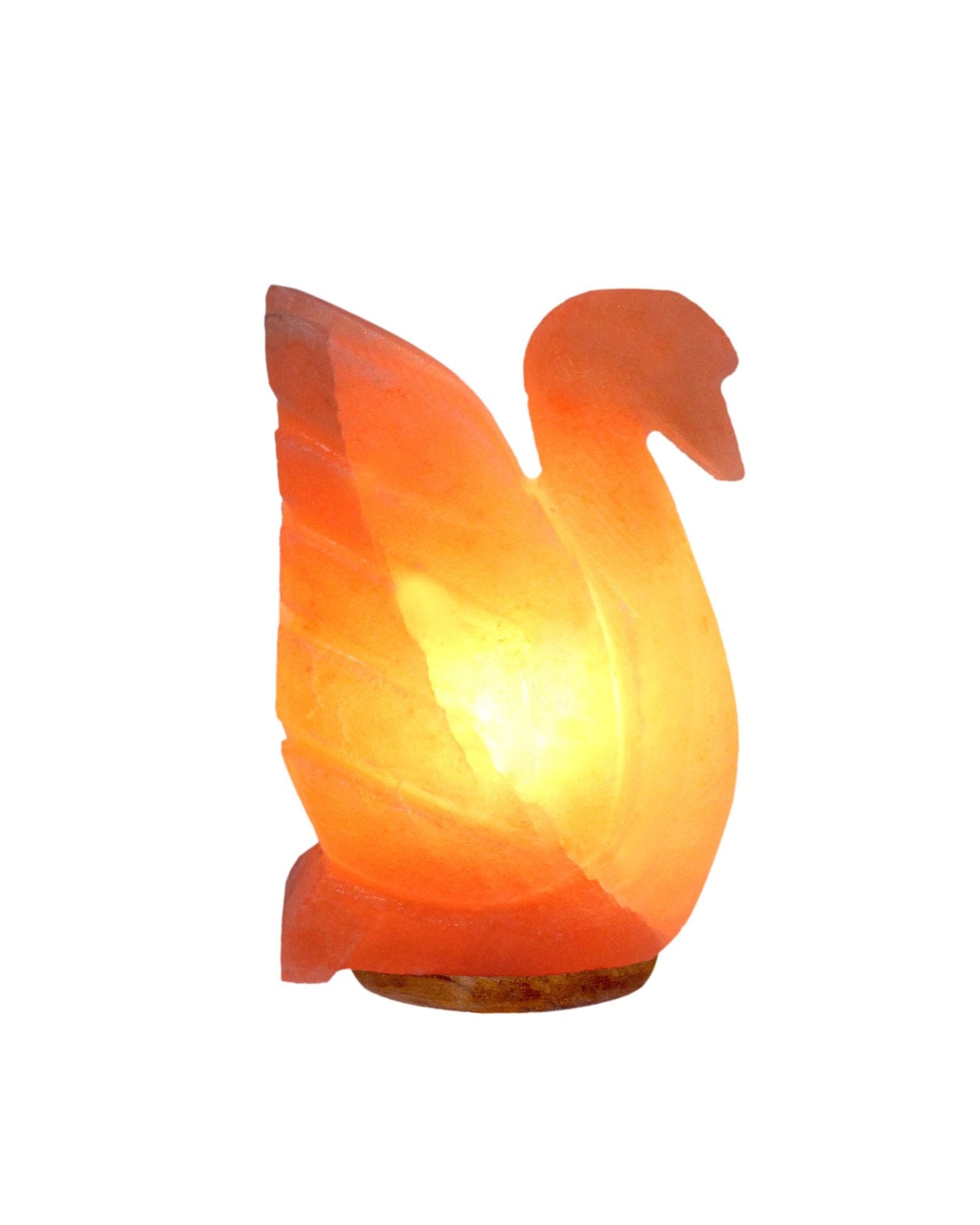 The Serene Swan