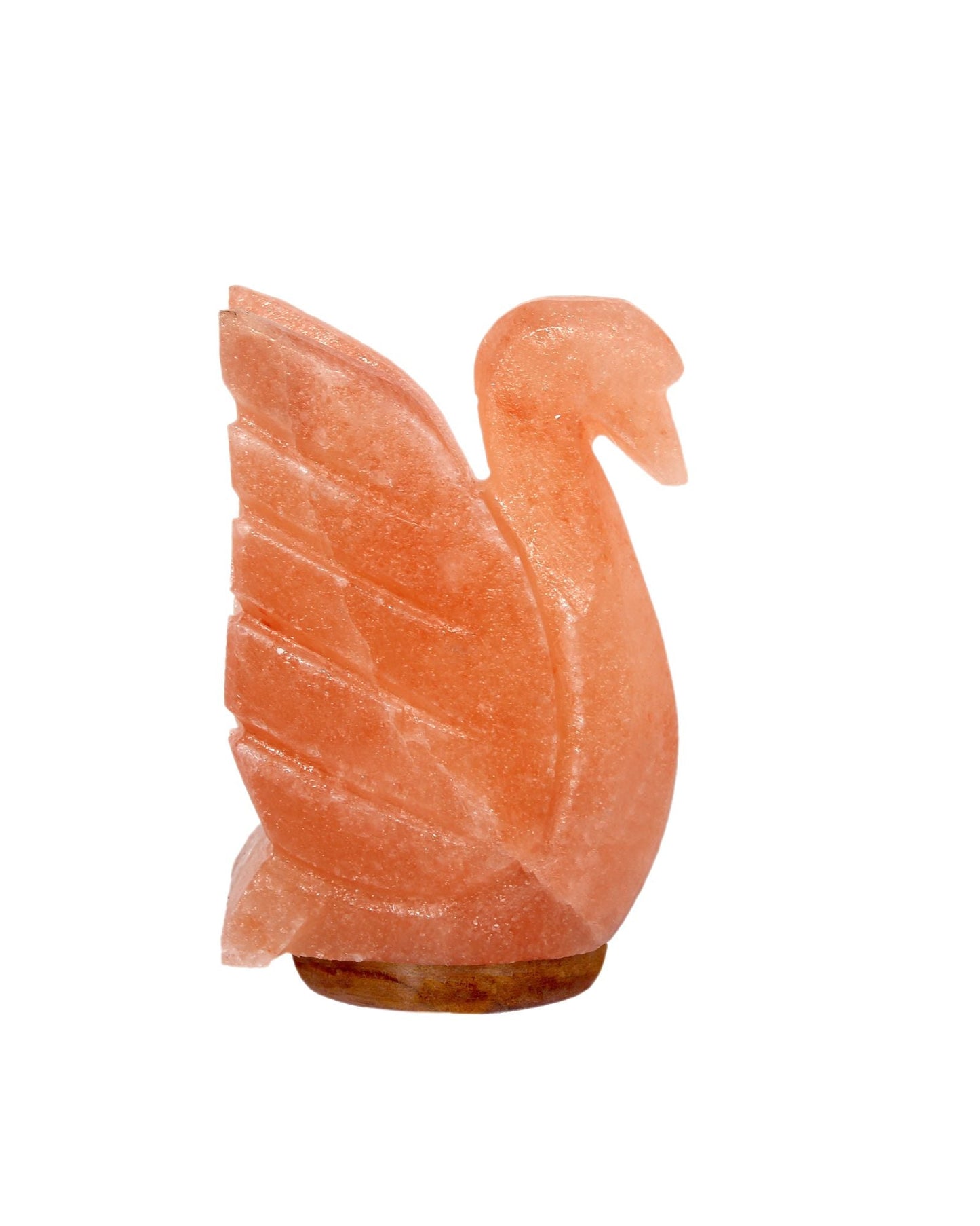 The Serene Swan