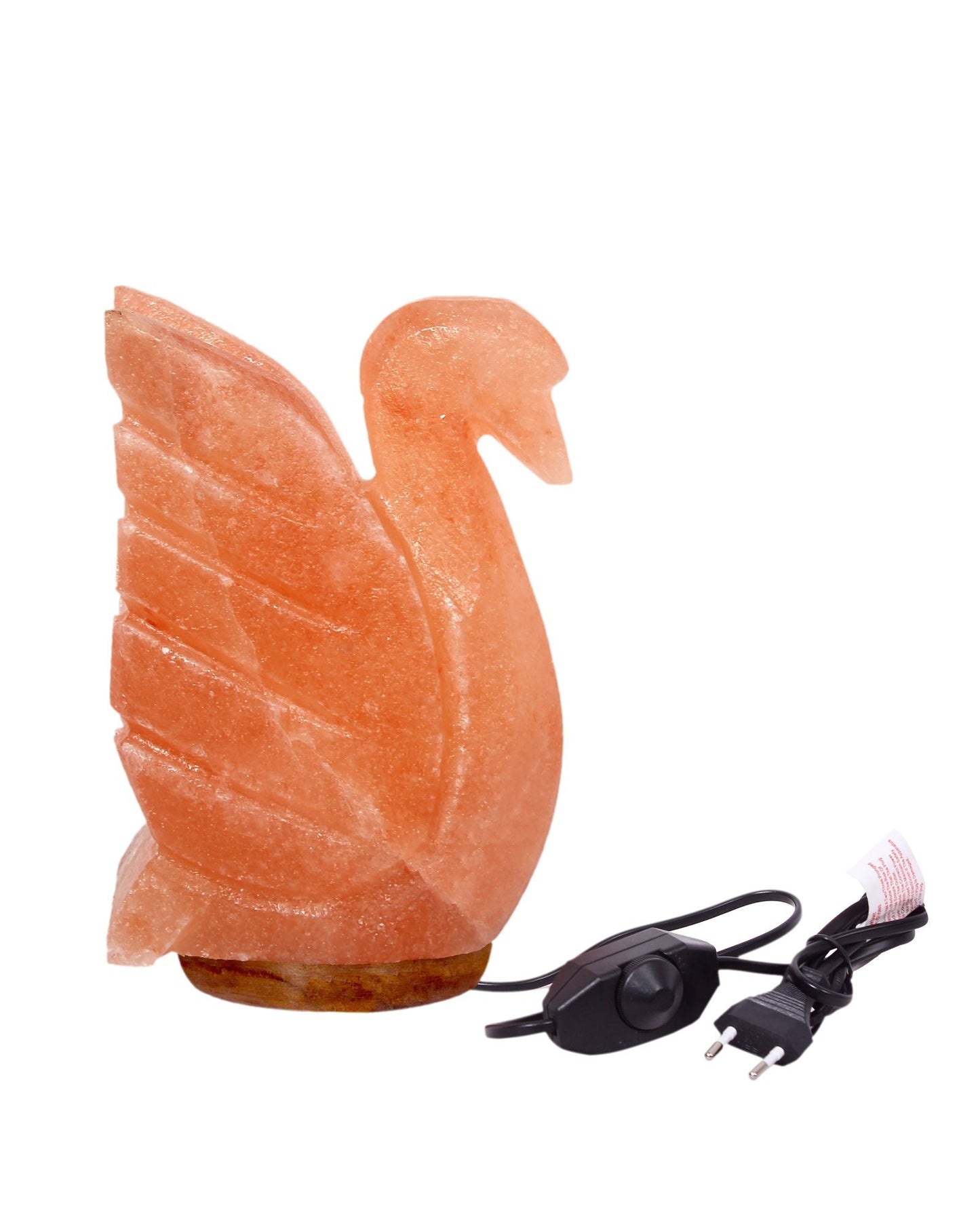 The Serene Swan